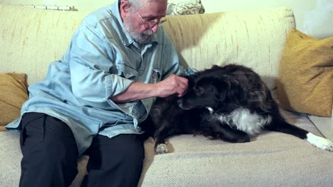 Elderly man lovingly petting his dog on the couch Video stock 331674323