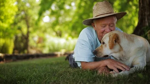 Elderly man lying in grass with pet golden labradour. Stock-Footage 88405044