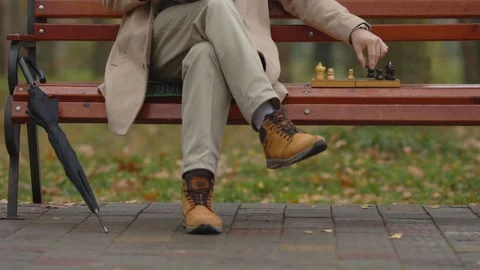 An elderly man plays chess on a bench in an autumn park. Stock Footage 271325442