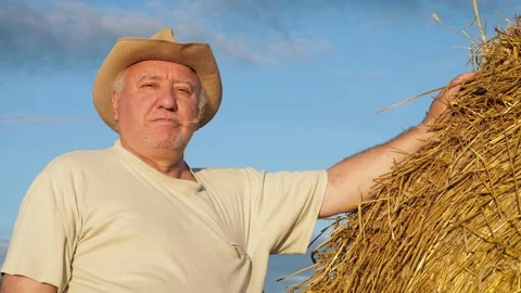 Elderly man posing with haystack during sunset at countryside homestead Stock Footage 332352837