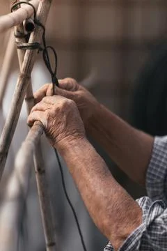 Elderly man preparing the structure to grown plants in a orchard Stock Photos
