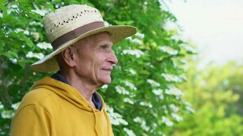 Elderly man puts on straw hat and looks into distance Stock Footage 239934773