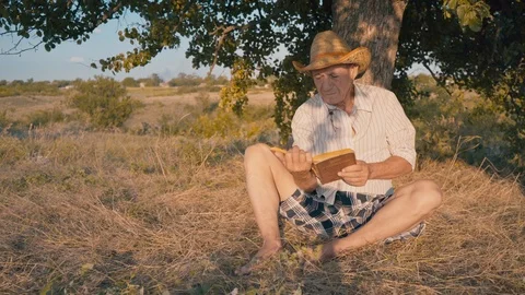 An elderly man is reading under a tree. A man in a straw hat with a book. Stock Footage 119986153