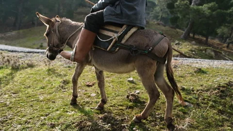 An elderly man rides a donkey through a serene natural landscape Stock Footage 326105227