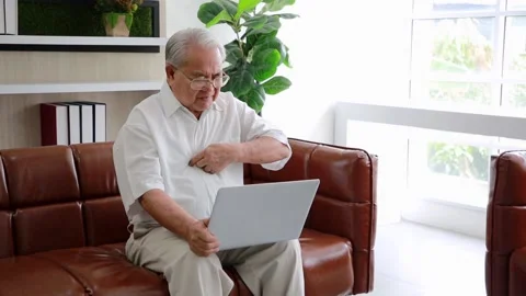 Elderly man sit on couch at home have online consultation on computer with do Stock-Footage 162376239
