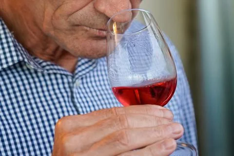 An elderly man sniffs the aromas in a glass of red wine. Bela Krajina, Slovenia Stock Photos
