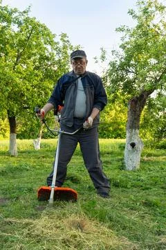 An elderly man stands in an orchard while trimming grass with a garden tool.. Stock Photos