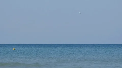 An Elderly Man Surfing Stock Footage 89737028