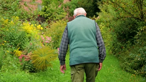 Elderly man taking a walk Stock Footage 317690551