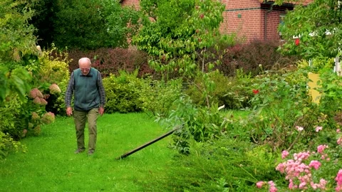 Elderly man taking a walk Stock Footage 317690561