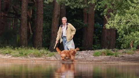 Elderly man throws stick for dog in a lake 4k slow motion Stock Footage 286103128