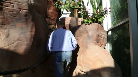 Elderly man walking between two large rocks 動画素材 45983452