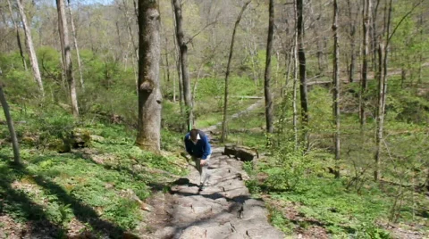 Elderly man walking up a step path in the woods Stock Footage 710455