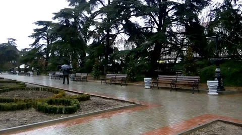 Elderly man walking through the park under umbrella Stock Footage 47133062