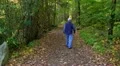 elderly man walks autumn path HD 동영상