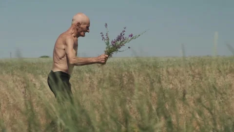 Elderly man walks on wild field and holds purple flowers Stock Footage 201959331