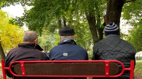 Elderly men sitting on bench in park and talking. Old age, older men, pensioners Stock Footage 56323736