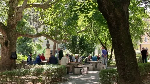 Elderly Playing Backgammon in Astra Park, Sibiu Stockbeeldmateriaal 323179399