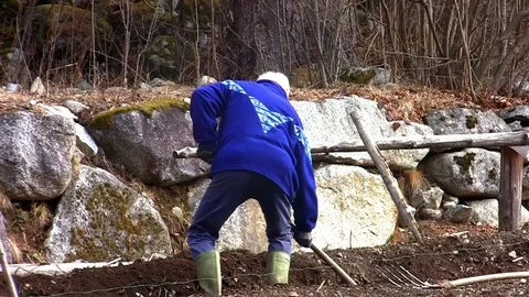 Elderly vegetable gardener working with a spade 動画素材 104554033