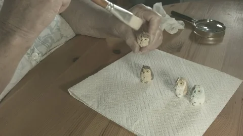 Elderly woman brushes tiny ceramic owls with paint brush. Not B&amp;W Stock Footage 72707470