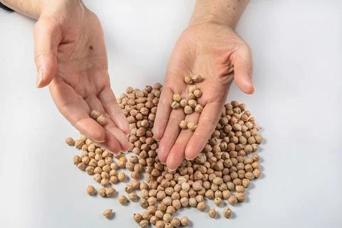 Elderly woman's hands are sorting garbanzo beans on a white background. Isola Stock Photos