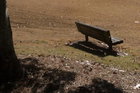 Elders Rest Bench Under Tree in Autumn Stock Photos