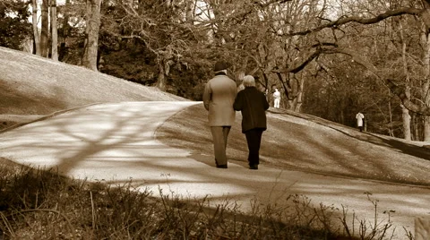 Eldery couple walking in the park Video stock 1216809