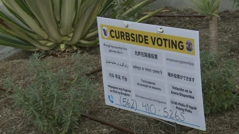 Election Day 2020: Voting At Dodgers Stadium Stock Footage 142480945