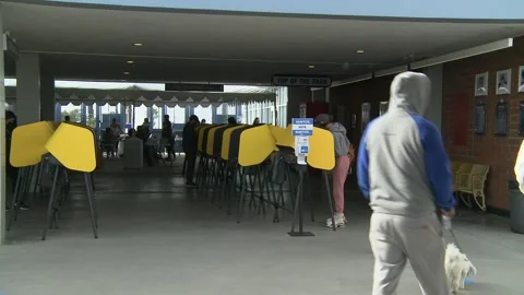 Election Day 2020: Voting At Dodgers Stadium Stock Footage 142484017
