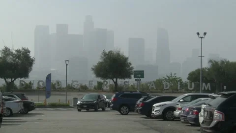 Election Day 2020: Voting At Dodgers Stadium Stock Footage 142485174
