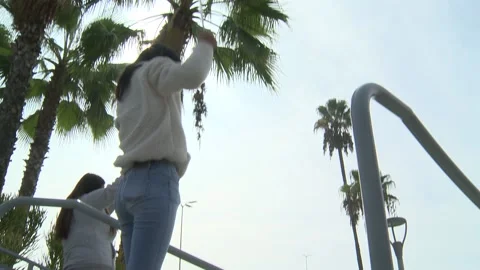 Election Day 2020: Voting At Dodgers Stadium Stock Footage 142485318
