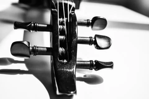 Electric 5 string Violin Stockfoto's