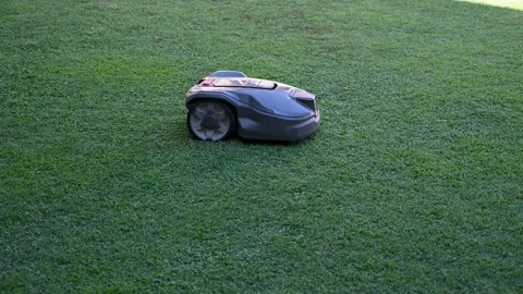 Electric automatic mower mowing the grass. Stock Footage 312357731