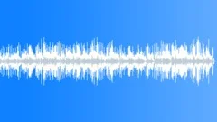 Electric BGM in Ab major at Neutral BPM for Live Streamed Wildlife ShowsStock Music
