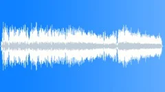 Electric Blender / Mixer - Coarse, Ligneous, Running Sound Effect