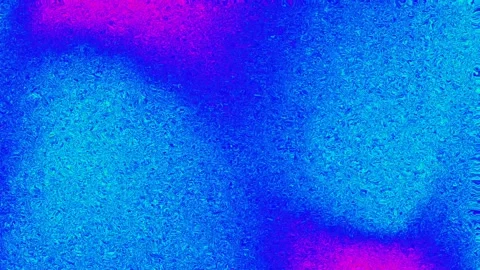 Electric blue interference abstract background Stock Footage 311216071