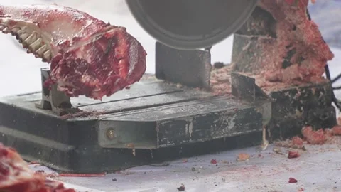An electric bone saw machine chopping thick beef bones and raw ribs during Islam Video stock 338046373