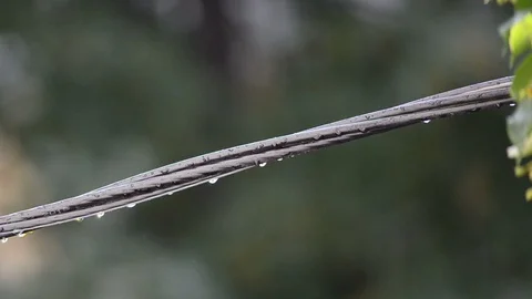 Electric cable in the rain Stock Footage 90213115