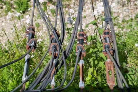 Electric cables 写真素材