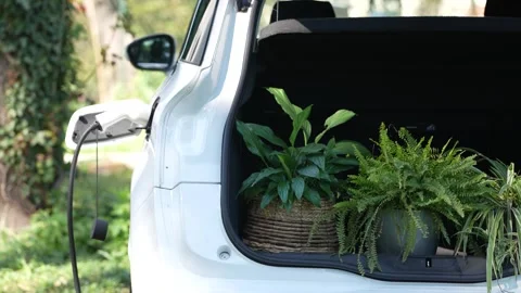 Electric car with flowers in a trunk Video stock 254358724