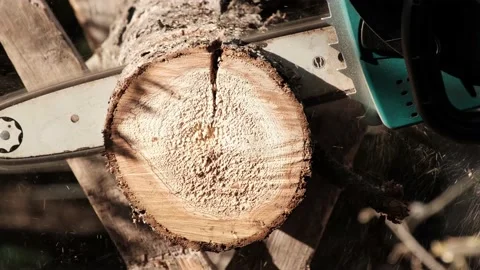 Electric chain saw blade while cutting a log for firewood. Stock Footage 153435246