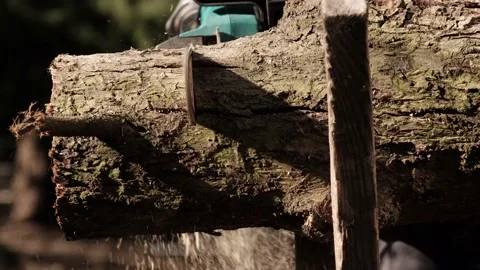 Electric chain saw while cutting a log for firewood. Working with a electric saw Stock Footage 153435453