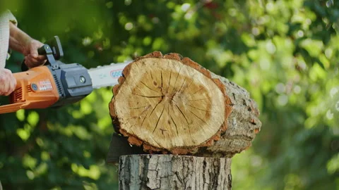 Electric chainsaw cutting through log in forested area, showcasing power tool Stock Footage 276821810