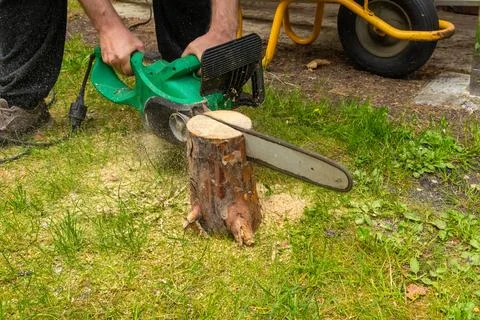 Electric Chainsaw Cutting a Tree Stump in a Garden Stock Photos