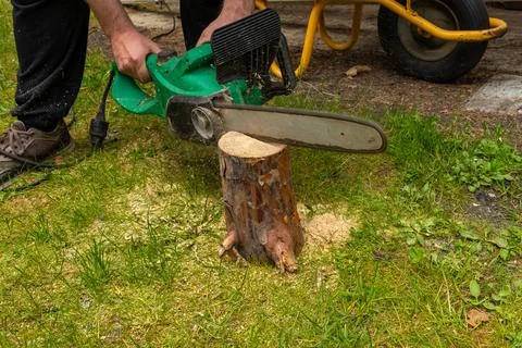 Electric Chainsaw Cutting Tree Stump in Garden Stock Photos