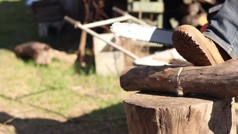 Electric chainsaw in operation. Tekhmann brand tool with Oregon bar Stock Footage 332853525