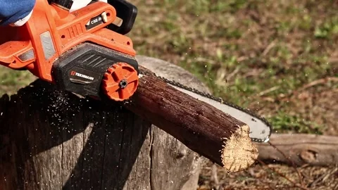 Electric chainsaw in operation. Tekhmann brand tool with Oregon bar Stock Footage 332853540