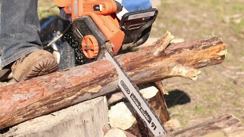 Electric chainsaw in operation. Tekhmann brand tool with Oregon bar Stock Footage 332853605