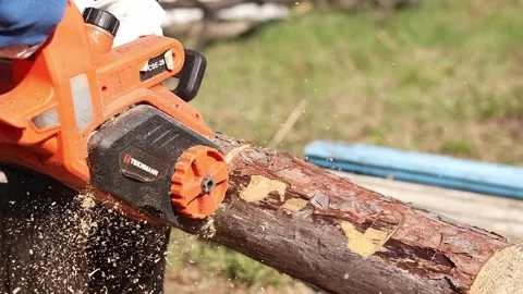 Electric chainsaw in operation. Tekhmann brand tool with Oregon bar Stock Footage 332853612