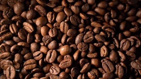 Electric Coffee Grinder Machine Grinds The Coffee Beans Stock Footage 119372175